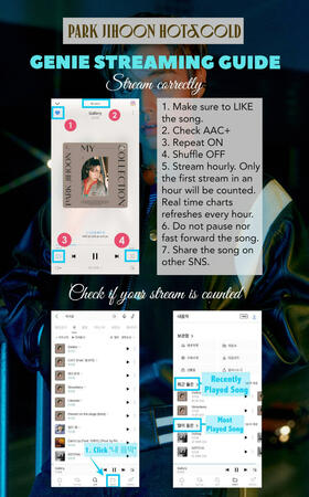 How to stream correctly