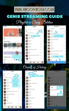 Delete Song & History